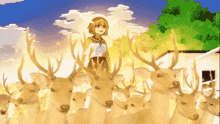 a girl surrounded by a herd of deer with antlers