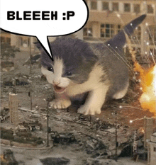 a kitten with a speech bubble saying bleeeh p
