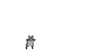 a cartoon drawing of a raccoon with its arms outstretched on a white background