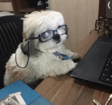 a dog wearing glasses is sitting at a desk in front of a laptop .