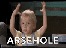 a little girl is raising her hands in the air with the word arsehole written in the background .
