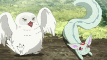 a white owl is standing next to a white cat with a long tail