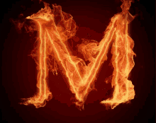 Mika Fire GIF - Mika Fire Burning GIFs