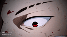 a close up of a person 's eye with the words nes.banana below