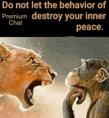 Premium Chat Do Not Let The Behavior Of Destroy Your Inner Peace GIF