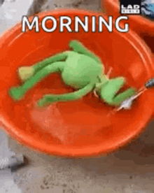 Kermit Water GIF - Kermit Water Bowl GIFs