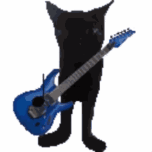 Cat Cat Playing Guitar GIF