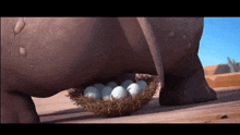a rhinoceros is laying eggs in a nest on the ground