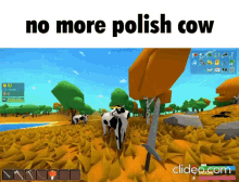 muck polish cow