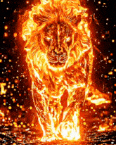 a lion is surrounded by flames and looks like it is on fire