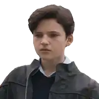 a young boy wearing a black jacket and a blue sweater looks at the camera