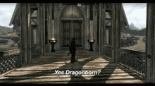 Yes Dragonborn Skyrim GIF