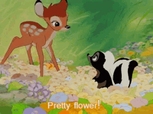 flower bambi