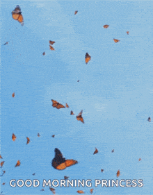 Butterflies Flying GIF - Butterflies Flying Sky GIFs