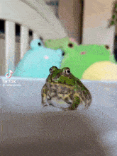 Froggo Hat GIF - Froggo Hat Frog With Hat GIFs