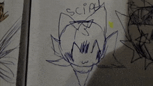 a drawing of a person 's face with a few other drawings