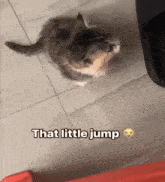 a cat sitting on a tiled floor with the words that little jump below it