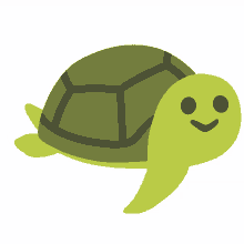 swimming turtle