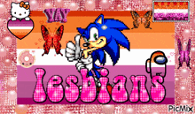a picture of sonic the hedgehog giving a thumbs up and the words lesbians