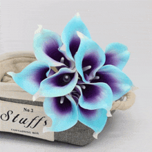 Blue Lilies GIF - Blue Lilies GIFs