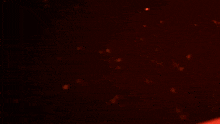 a red light is shining on a black case with foam