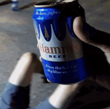 Hamms Hamms Beer GIF - Hamms Hamms Beer Long Pour GIFs