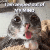 a close up of a cat with its tongue out and the words i am zeeped out of my mind