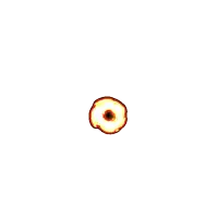 a pink circle with a star in the center