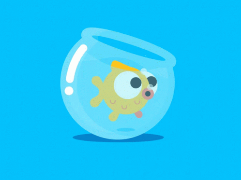 Cutefish Fishbowl GIF - Cutefish Fish Fishbowl - Discover & Share GIFs