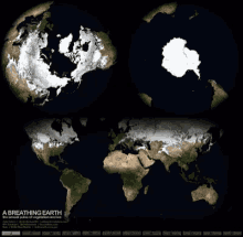 Earth Ice GIF - Earth Ice Vegetation GIFs
