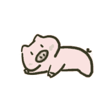 wechat pig roll over rolling