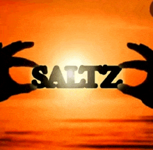 Saltzers GIF - Saltzers GIFs
