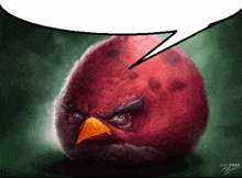 birds angry