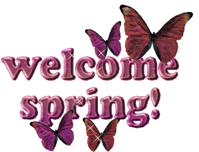 Welcome Spring Butterflies Sticker - Welcome Spring Butterflies Stickers