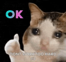 Crycat Crying Cat GIF - Crycat Crying Cat Crying Cat Thumbs Up GIFs