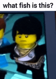 a picture of a lego character with the words what fish is this on the bottom