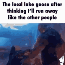 the local lake goose after thinking i 'll run away like the other people is shown .