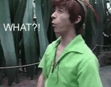 Say It Ain'T So GIF - What Peter Pan GIFs