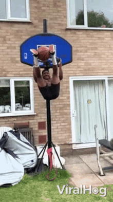 Basketball Hoop Viralhog GIF