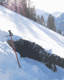 Dig Snow GIF - Dig Snow Snow Digging GIFs