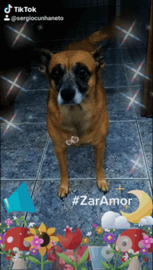 Zar Amor GIF - Zar Amor GIFs