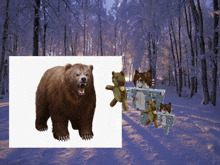 Homixide Bear GIF - Homixide Bear Gang GIFs