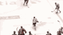 Karpat Hockey GIF - Karpat Hockey Fail GIFs