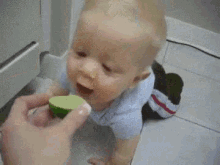 Baby Lemon GIF