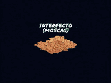 a video game called intercepto ( moscas ) is coming out on april 7