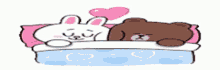 Cute Cony And Brown GIF - Cute Cony And Brown Sleeping GIFs