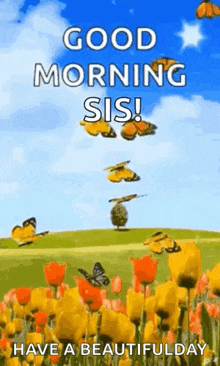What A Sunny Day GIF - What A Sunny Day GIFs