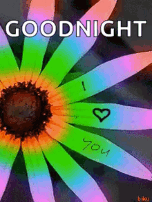 Good Night Flowers GIF - Good Night Flowers Nite GIFs