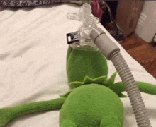 a stuffed kermit the frog is wearing a cpap mask