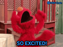 elmo from sesame street is holding a tennis ball and saying " so excited "